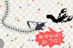 <b>龙之谷私服sf：五毒大作战兑换码有哪些 五毒大作战兑换码大全</b>